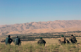 Пакистанский генерал о границе Туркменистана и Афганистана: «Рвом граница не охраняется»