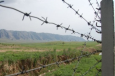 Узбекистан и Кыргызстан достигли позитивных сдвигов в демаркации границ