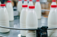 В странах ЕАЭС стали в три раза больше пить молока из Кыргызстана