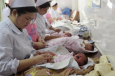 В Китае зафиксировали рекордный рост рождаемости