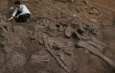 В Восточном Китае найдены останки динозавров, живших 100 млн лет назад