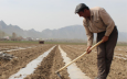 В сельском хозяйстве занято 26,8% кыргызстанцев