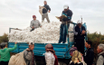 Минюст назвал борьбу с принудительным трудом гражданским долгом каждого узбекистанца