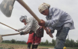 В Кыргызстане растет число трудовых мигрантов из Узбекистана