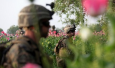 Куда ведёт афганский наркотрафик?