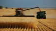 И причем здесь Россия? Китай внезапно отказался от огромной партии пшеницы из США 