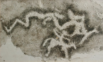 Искусство древних кочевников Центральной Азии в петроглифах Алтая