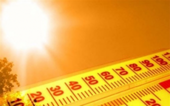 В Узбекистане установилась рекордная жара - последствия