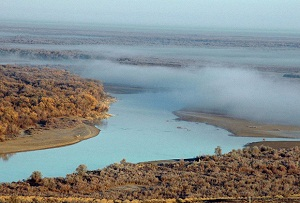 Ядовитые воды. Самая длинная река Средней Азии оказалась отравленной