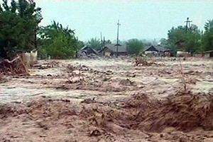 Сенаторы Таджикистана решили передать свою месячную зарплату пострадавшим от наводнений