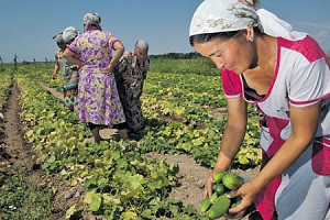 Кыргызстан: Чем накормим ЕАЭС?