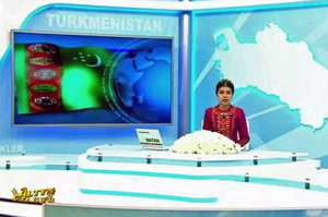 Президент Туркменистана озаботился сотрудничеством с международными СМИ