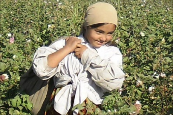 Правительство Таджикистана определило перечень запрещенных для детей работ. Сбора хлопка в списке нет