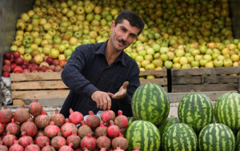 Душанбе просит Пекин подписать соглашение о поставках таджикских фруктов на китайские рынки 