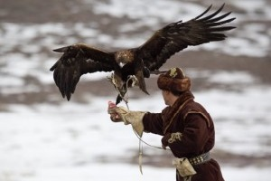 Казахстанских школьников учат приручать хищных птиц и национальным традициям