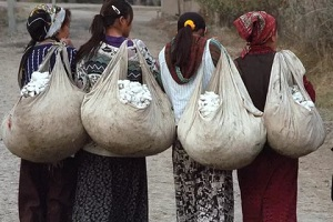 Узбекистан: Без принудительного труда, кто будет собирать хлопок?