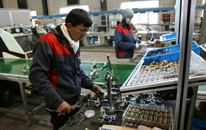 Из Узбекистана в Европу: в индустриальном парке Peng Sheng в Сырдарье реализовано более 30 проектов