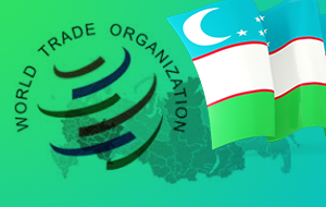 Переговоры по вступлению Узбекистана в ВТО начнутся в 2018 году