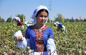 США запретили импорт туркменского хлопка из-за принудительного труда