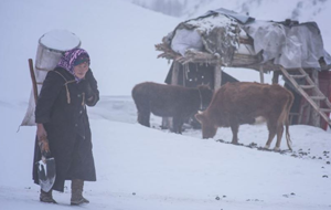 Казахстан на защите этнических казахов в Китае