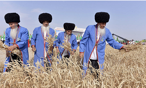 Туркменистан: низкопробный первосортный урожай