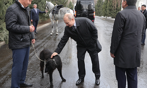 Путин прилетел в Киргизию и стал хозяином четвертой собаки