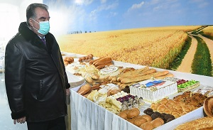 Таджикистан: народ недоедает, а Рахмон фотографируется на фоне гор еды