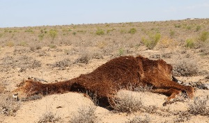 Центральная Азия: засуха продолжается, обстановка в обществе накаляется  