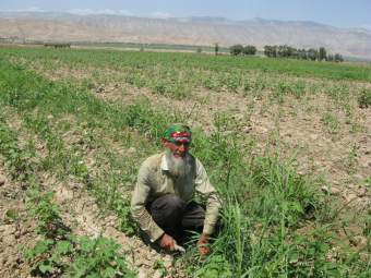 Таджикистан открывает новые земли