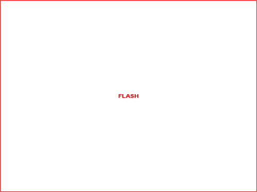 Flash object
