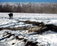 Кыргызское село Чарбак: Обещанного три года ждут?