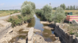 Кыргызстан. Вместе с Савайским каналом высыхает урожай