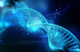 ДНК-исследование подтвердило родство казахов с андроновцами и гуннами
