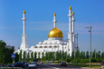 В Казахстане будут бороться с радикалами с помощью русского языка