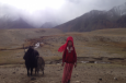 Из Кыргызстана на Памир: жизнь и быт афганских кыргызов