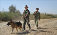 На таджикско-афганской границе вооруженная группа напала на лесников