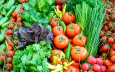 Узбекистан будет отправлять в США фрукты и овощи по зеленому коридору