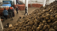 Кыргызстан: эффект хлыста по картошке