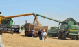 Зерно Казахстана: увы, меньше, хуже и дороже