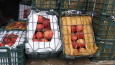 Иран и Китай завоевывают узбекский рынок яблок