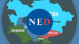 Организация NED: американские хищники ищут добычу в Центральной Азии