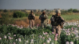 Стоимость лояльности ВС США: Внешнее влияние на афганский наркотрафик