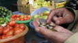 Дорогая еда: почему в ЕАЭС планомерно поднимают цены на продукты?