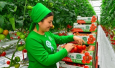 Туркменистан: кого бы забросать гнилыми помидорами?
