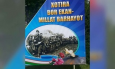 В Фергане на праздничном баннере оказались солдаты вооруженных сил гитлеровской Германии