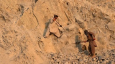 BBC: Несметные сокровища Афганистана. Кому достанутся медь, золото и литий при талибах?