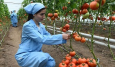 Стало известно, что мешает Таджикистану наладить сельхозэкспорт в ЕАЭС