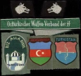 Анатомия предательства: что такое «Туркестанский легион»?
