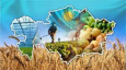 Казахстан. Субсидирование сельского хозяйства: как Нурали Алиев собирает оброк с фермеров