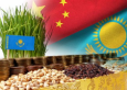 Какие казахстанские продукты любят в Китае, рассказал Генеральный консул КНР